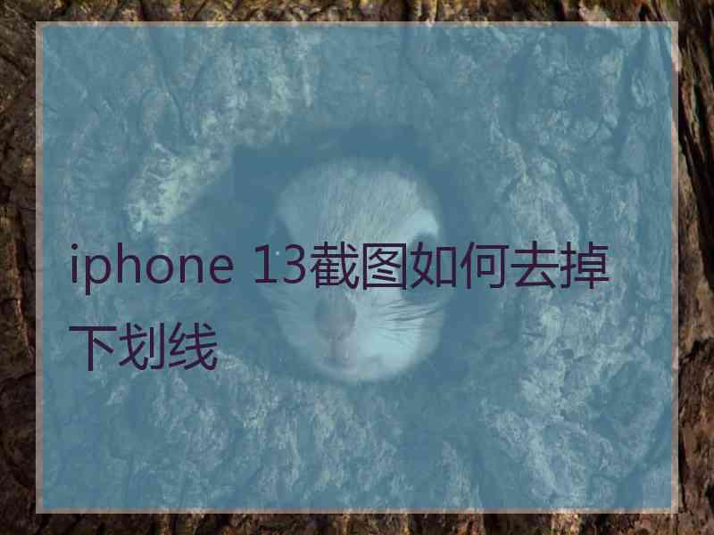 iphone 13截图如何去掉下划线