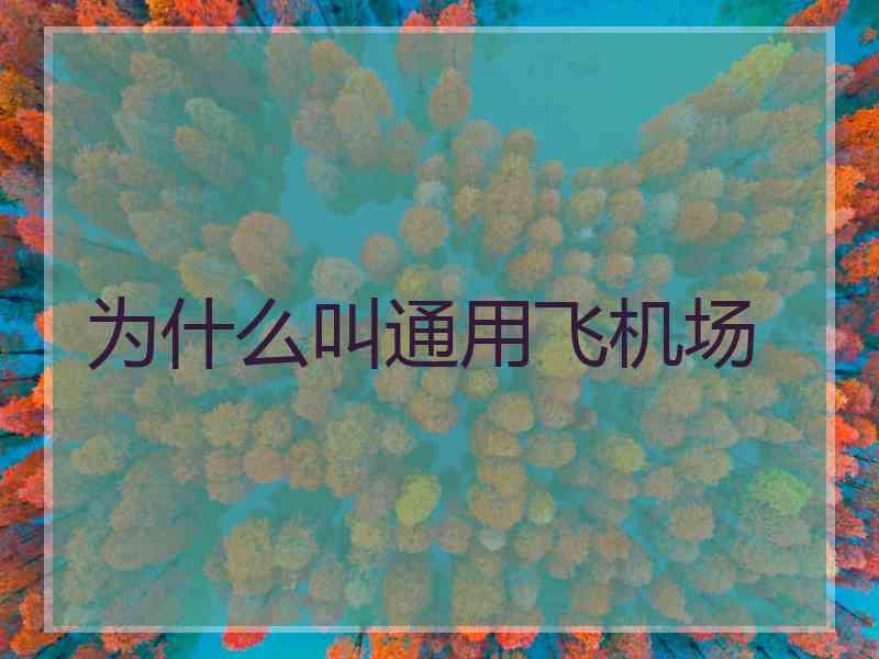 为什么叫通用飞机场