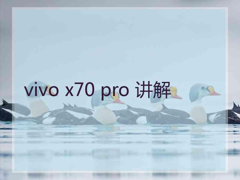 vivo x70 pro 讲解