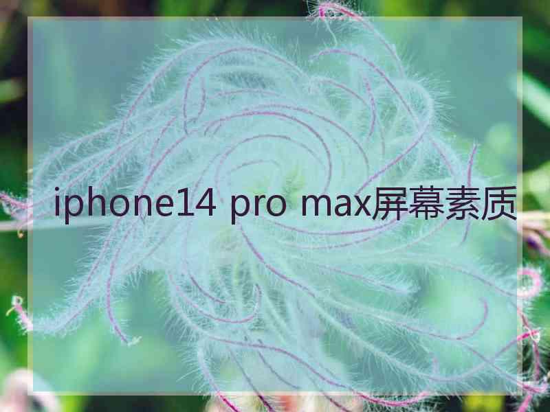 iphone14 pro max屏幕素质