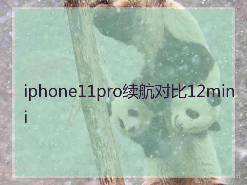 iphone11pro续航对比12mini