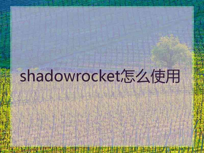 shadowrocket怎么使用