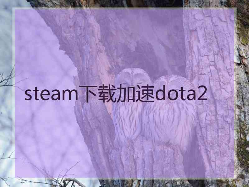 steam下载加速dota2