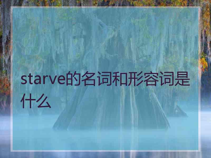 starve的名词和形容词是什么