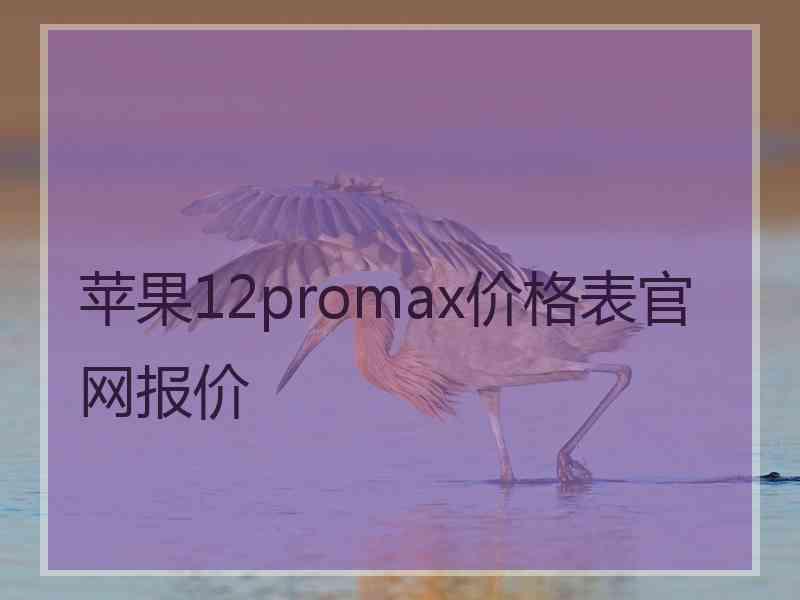 苹果12promax价格表官网报价