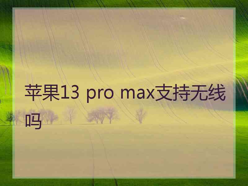 苹果13 pro max支持无线吗