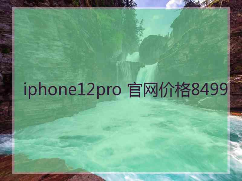 iphone12pro 官网价格8499