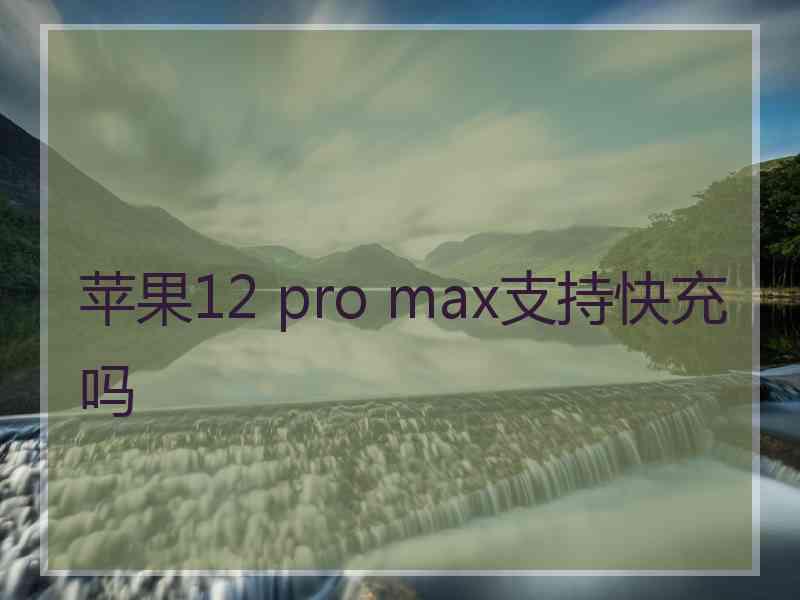 苹果12 pro max支持快充吗