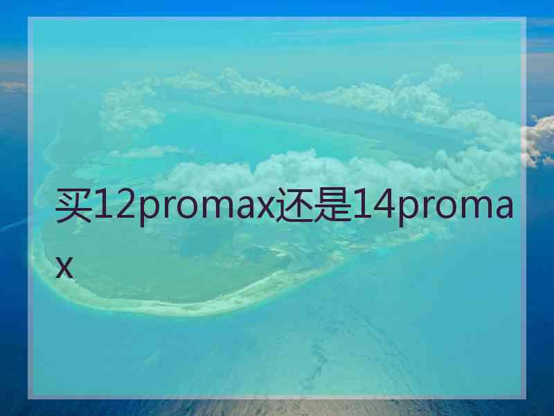 买12promax还是14promax