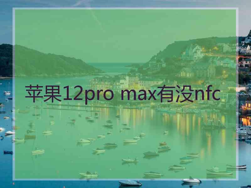 苹果12pro max有没nfc