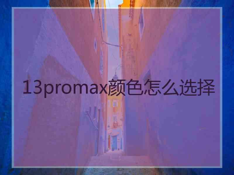 13promax颜色怎么选择