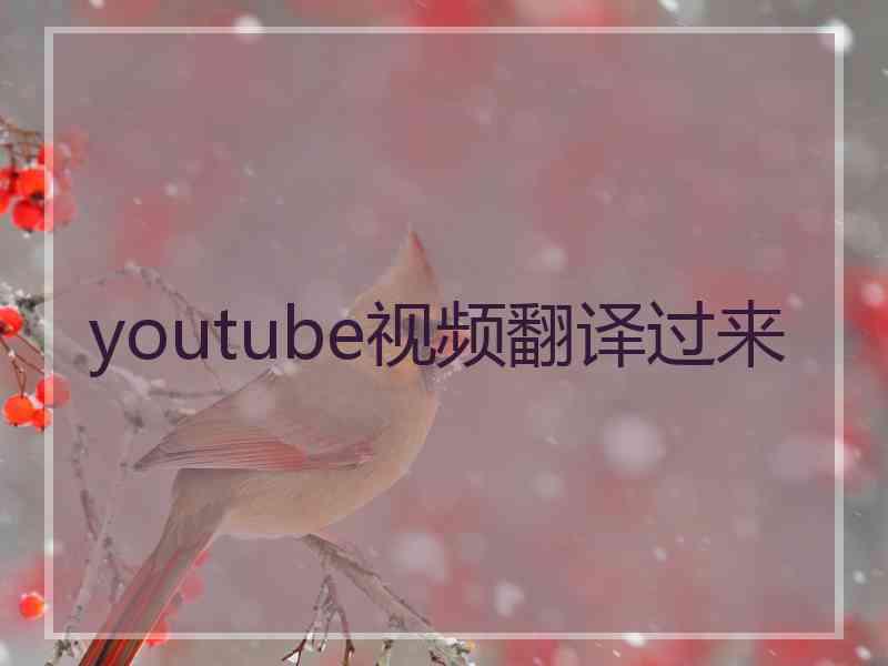 youtube视频翻译过来