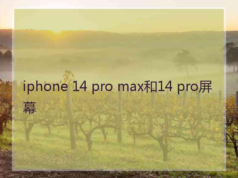 iphone 14 pro max和14 pro屏幕