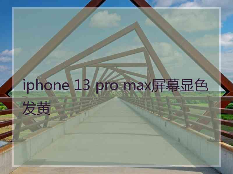 iphone 13 pro max屏幕显色发黄