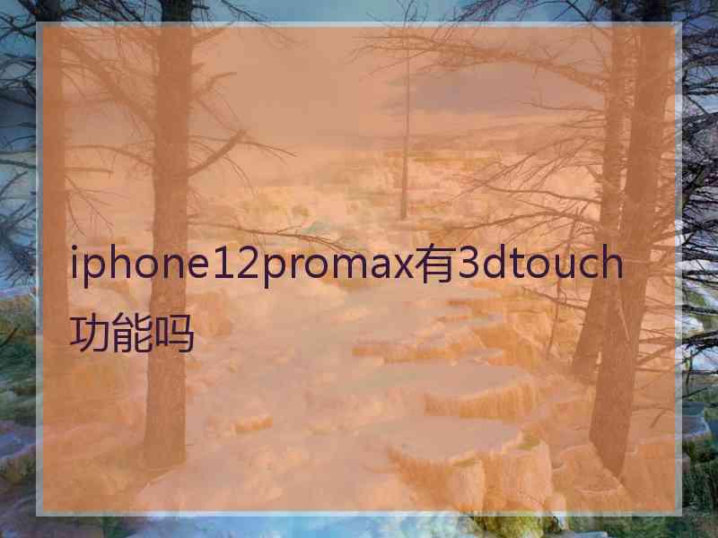 iphone12promax有3dtouch功能吗