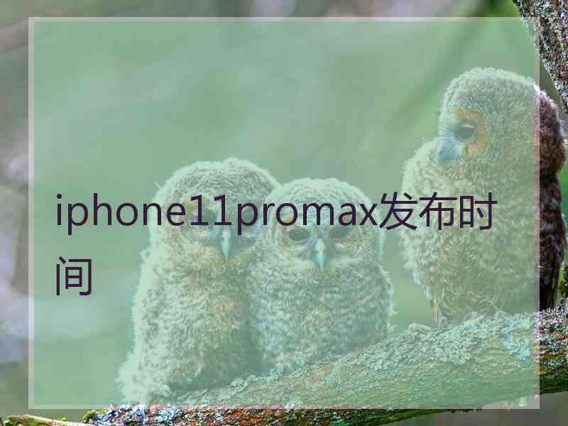 iphone11promax发布时间