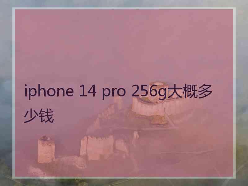 iphone 14 pro 256g大概多少钱