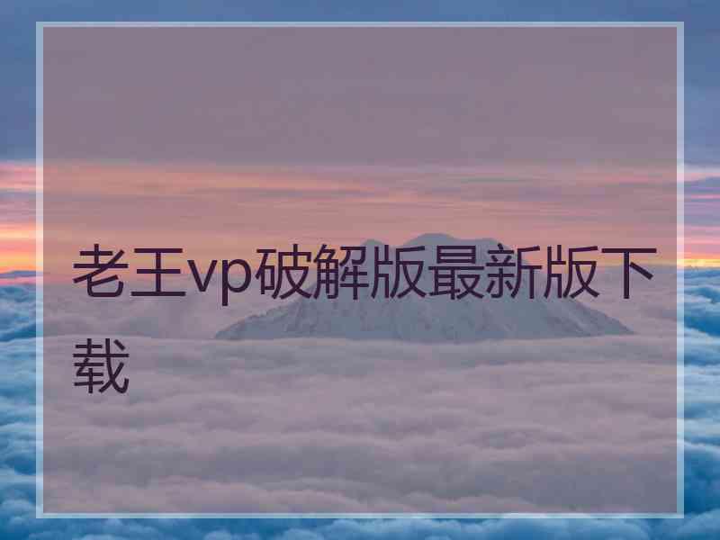 老王vp破解版最新版下载