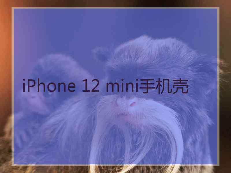 iPhone 12 mini手机壳