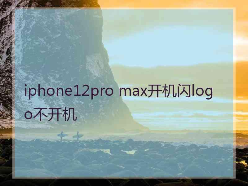 iphone12pro max开机闪logo不开机