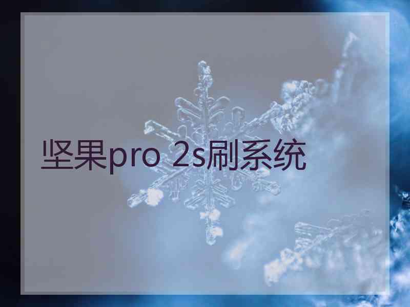 坚果pro 2s刷系统