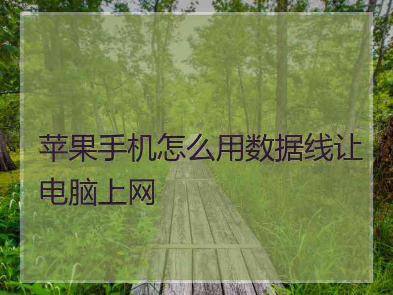 苹果手机怎么用数据线让电脑上网