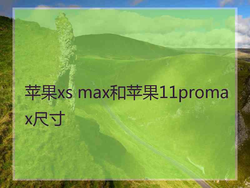 苹果xs max和苹果11promax尺寸