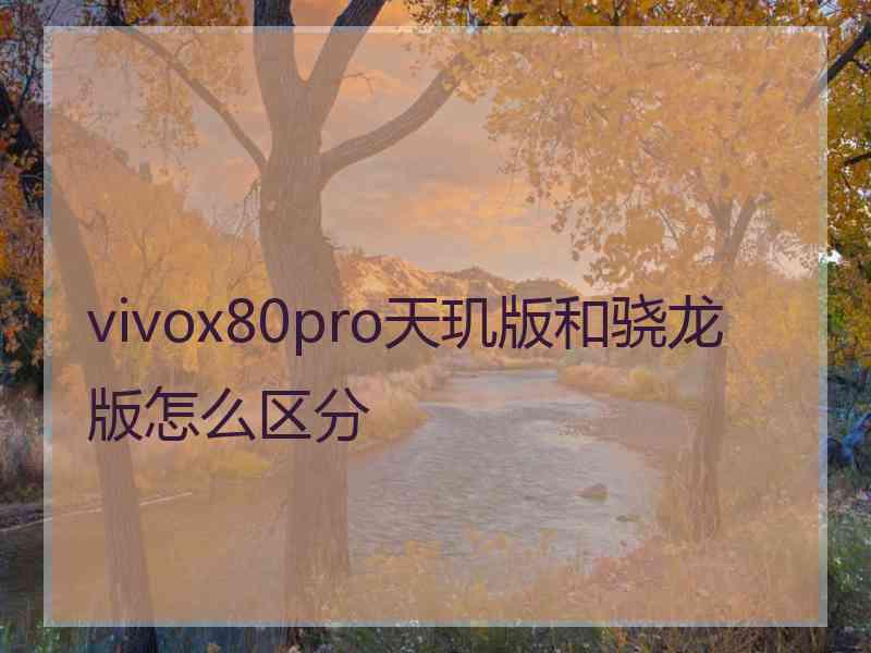 vivox80pro天玑版和骁龙版怎么区分