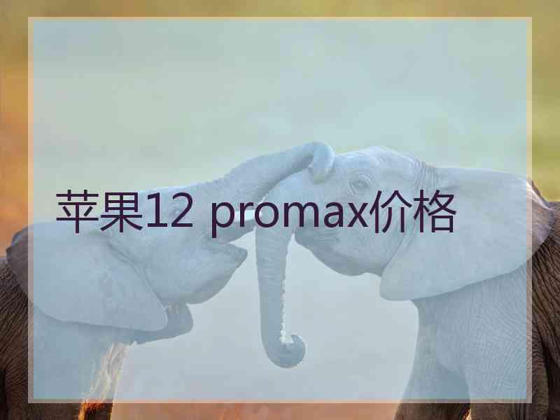 苹果12 promax价格