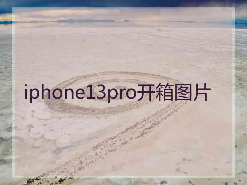 iphone13pro开箱图片