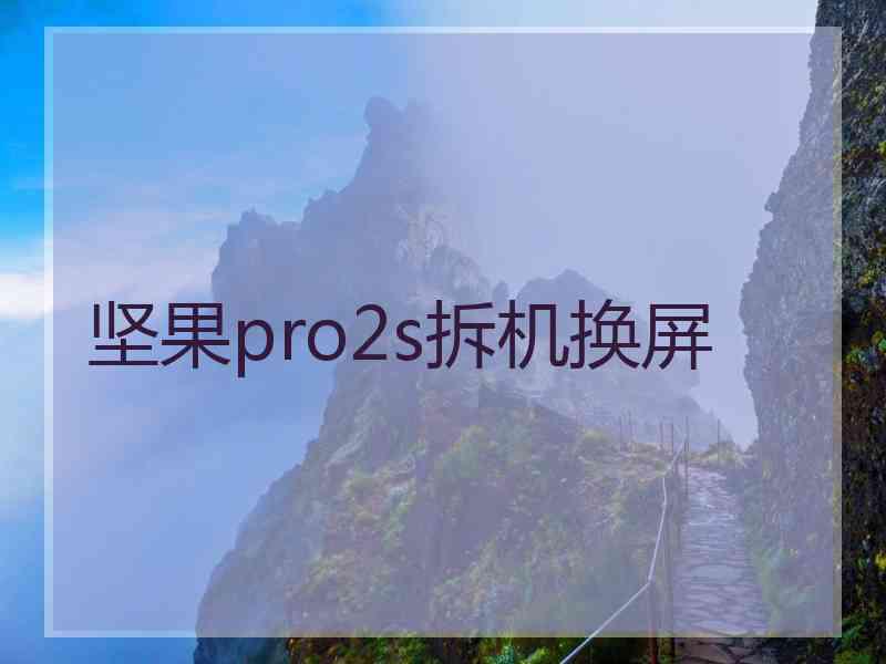 坚果pro2s拆机换屏