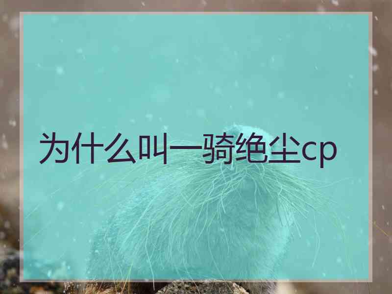 为什么叫一骑绝尘cp