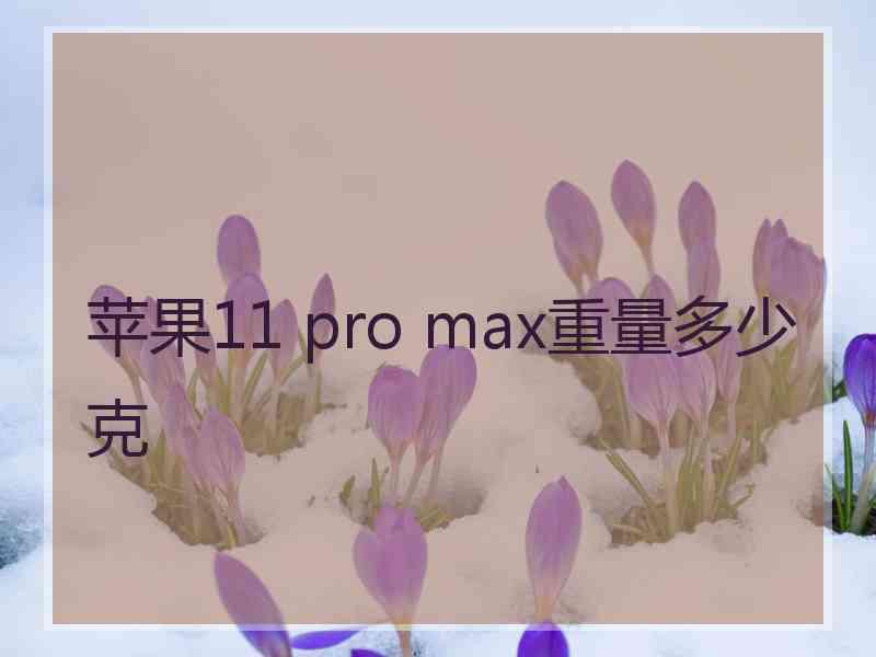 苹果11 pro max重量多少克