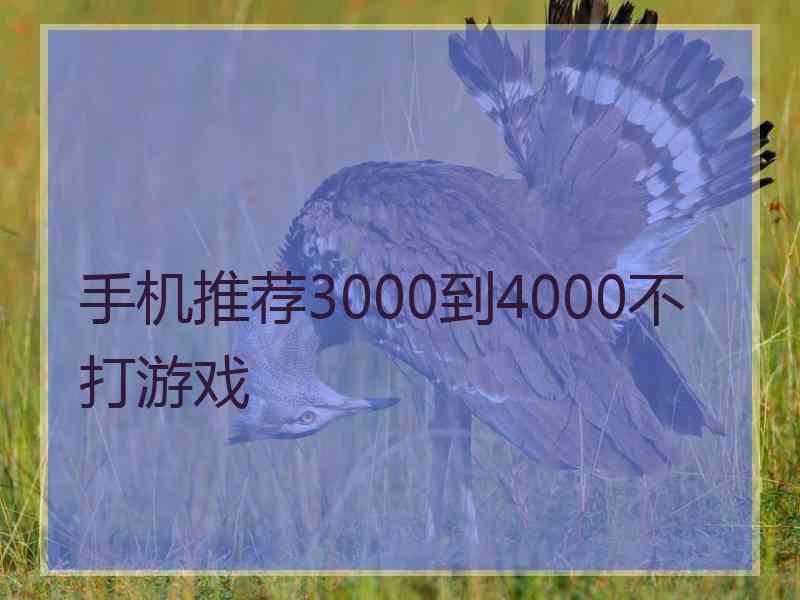 手机推荐3000到4000不打游戏