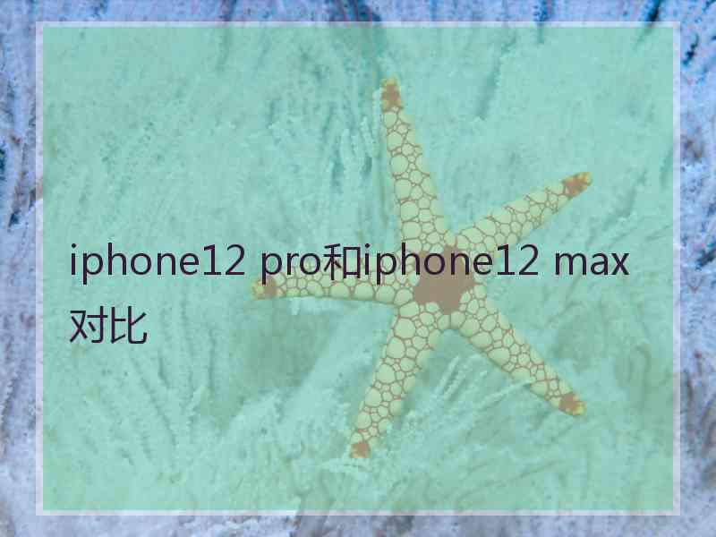 iphone12 pro和iphone12 max对比