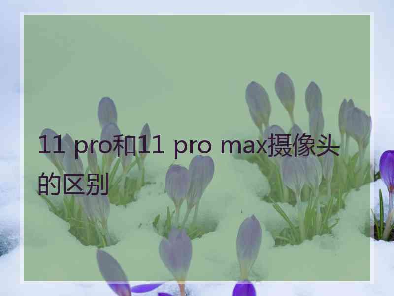 11 pro和11 pro max摄像头的区别