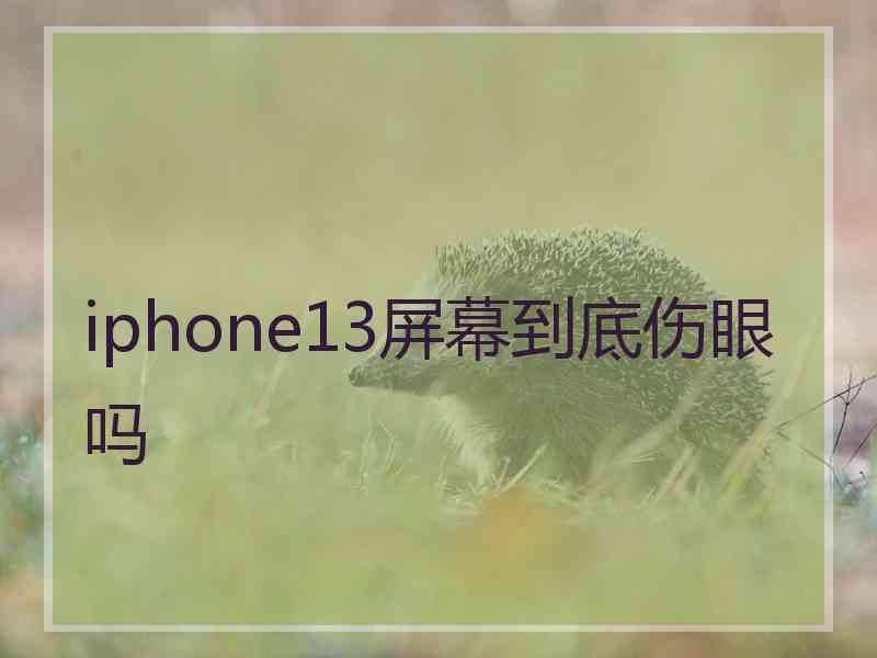 iphone13屏幕到底伤眼吗