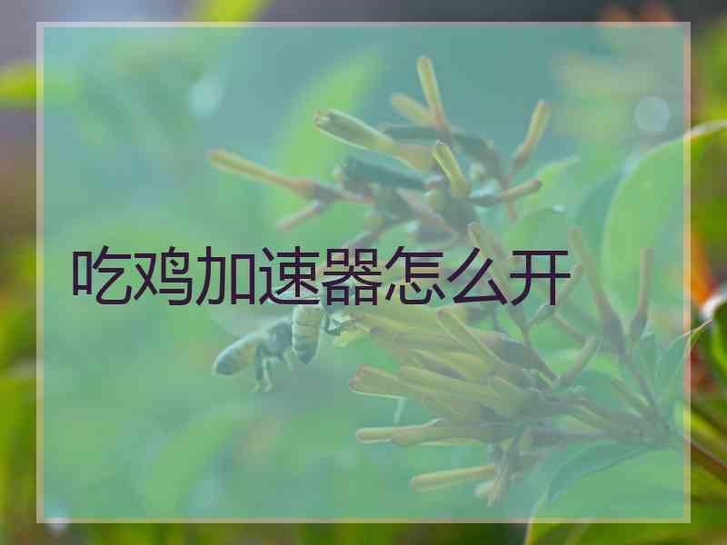 吃鸡加速器怎么开