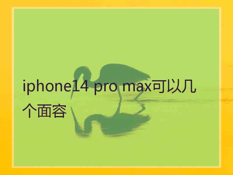 iphone14 pro max可以几个面容