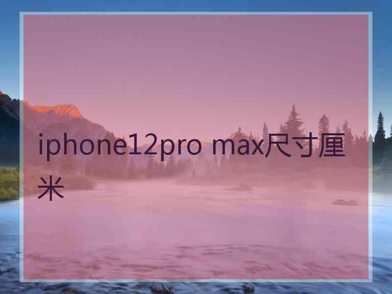 iphone12pro max尺寸厘米