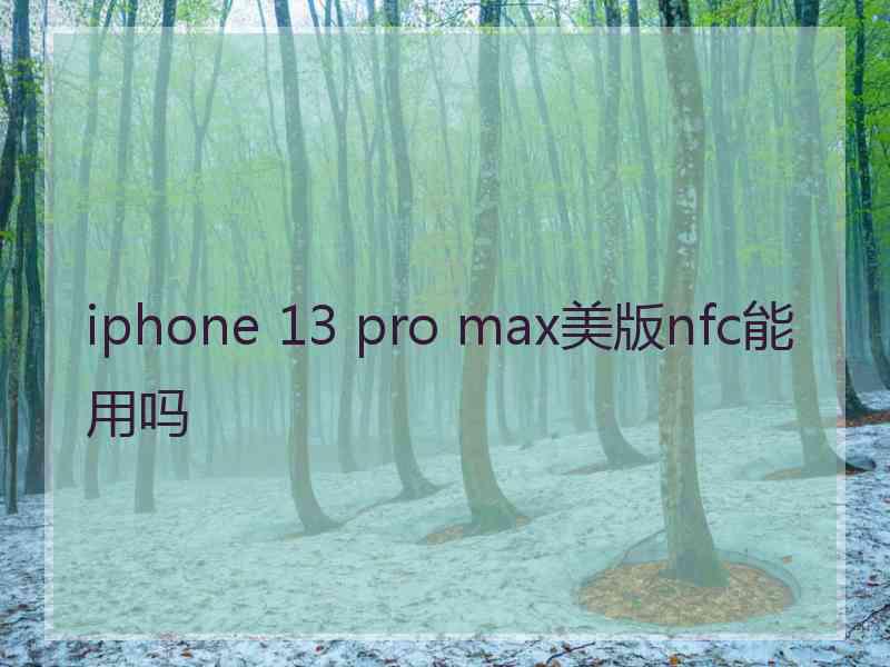 iphone 13 pro max美版nfc能用吗