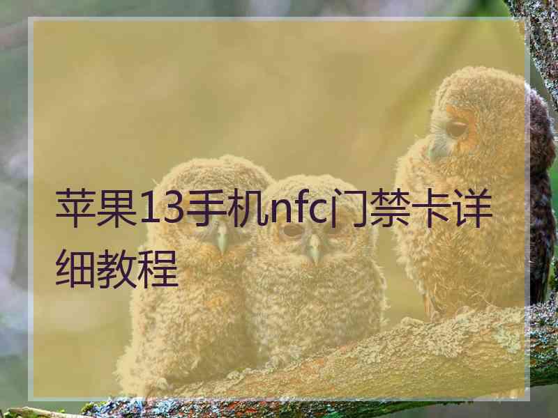 苹果13手机nfc门禁卡详细教程