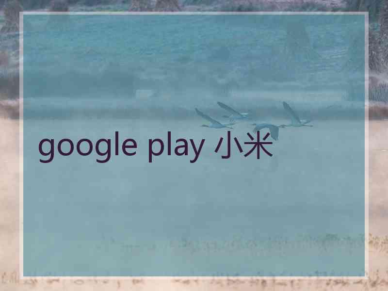 google play 小米