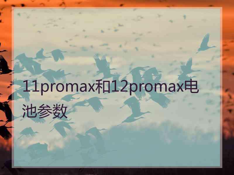 11promax和12promax电池参数