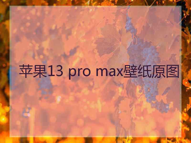 苹果13 pro max壁纸原图