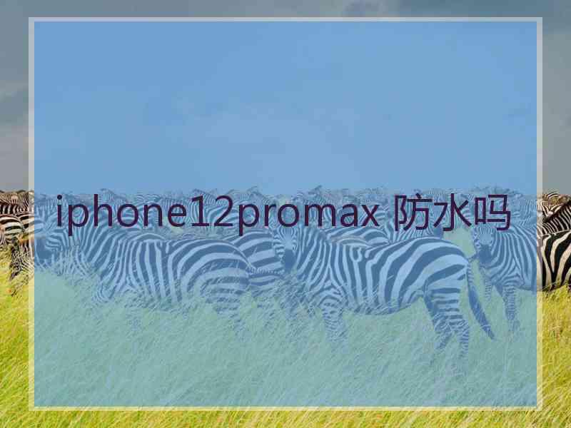 iphone12promax 防水吗