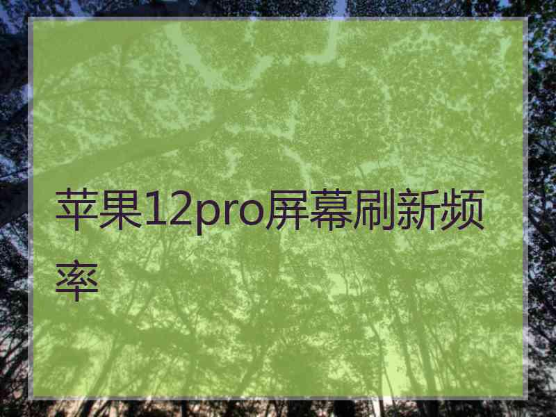 苹果12pro屏幕刷新频率