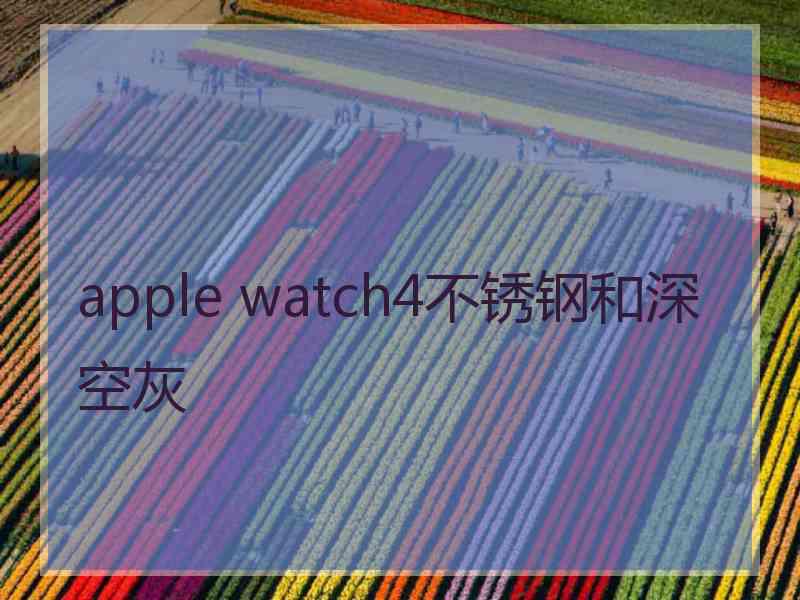 apple watch4不锈钢和深空灰