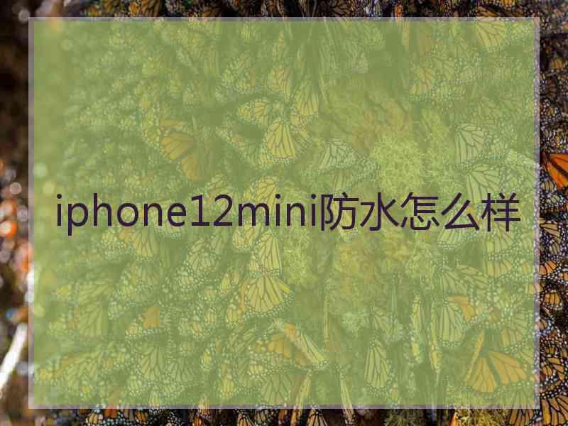 iphone12mini防水怎么样