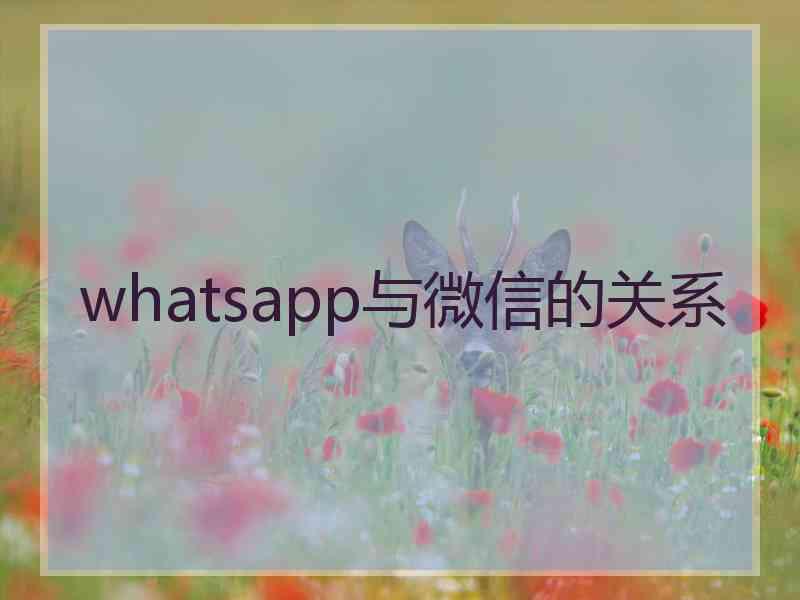 whatsapp与微信的关系